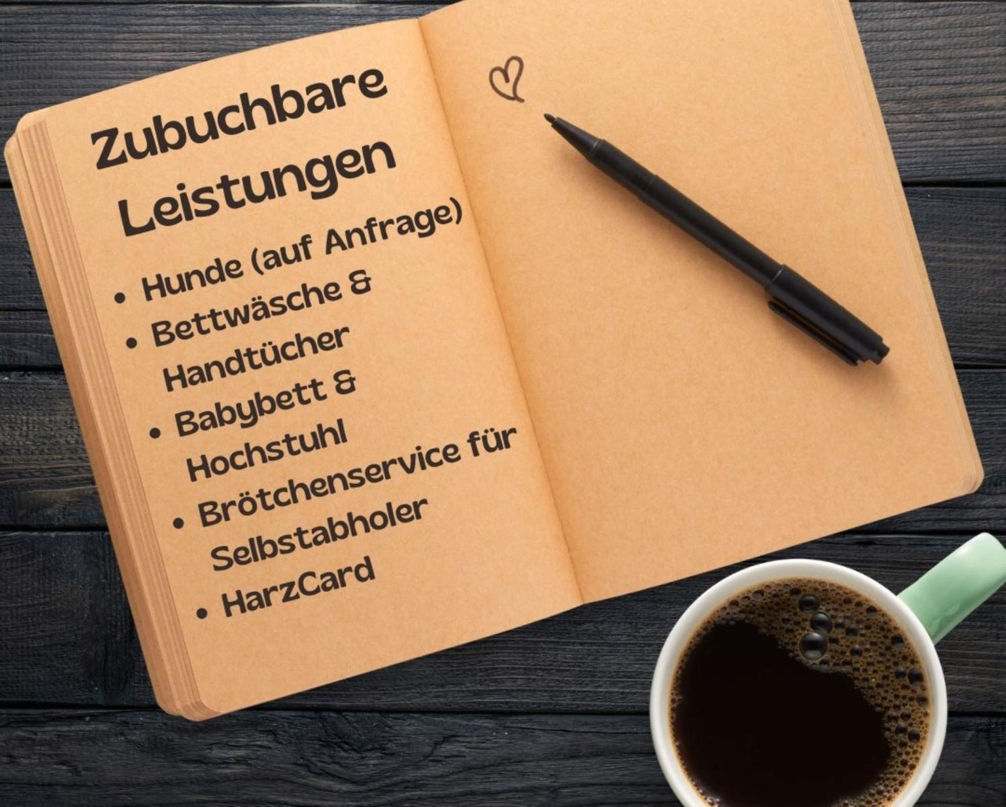 Schlufter Wiese Braunlage Ngoại thất bức ảnh